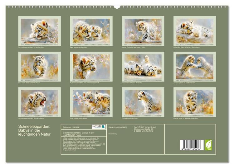 Produktbild: Schneeleoparden. Babys in der leuchtenden Natur (hochwertiger Premium Wandkalender 2027 DIN A2 quer), Kunstdruck in Hochglanz