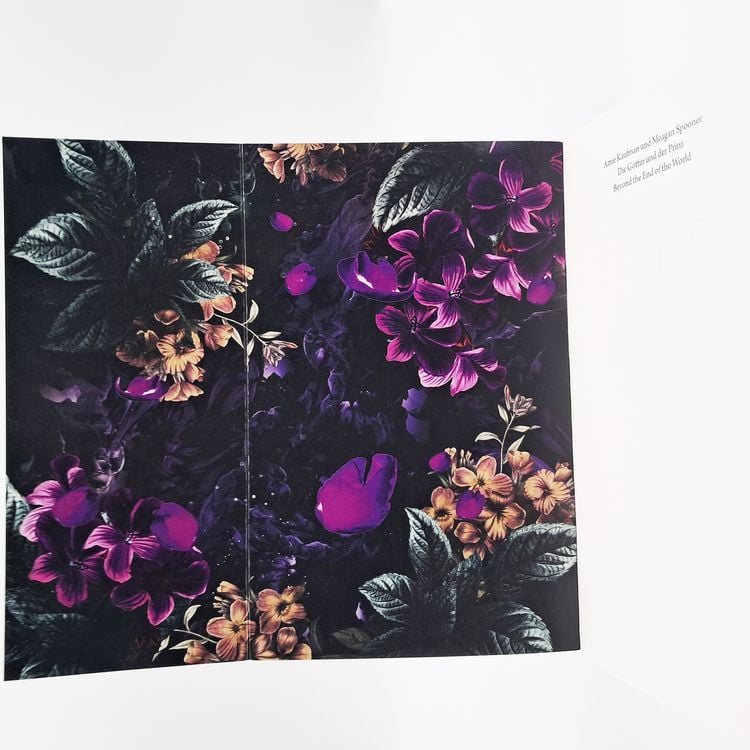 Produktbild: Beyond the End of the World – Die Göttin und der Prinz