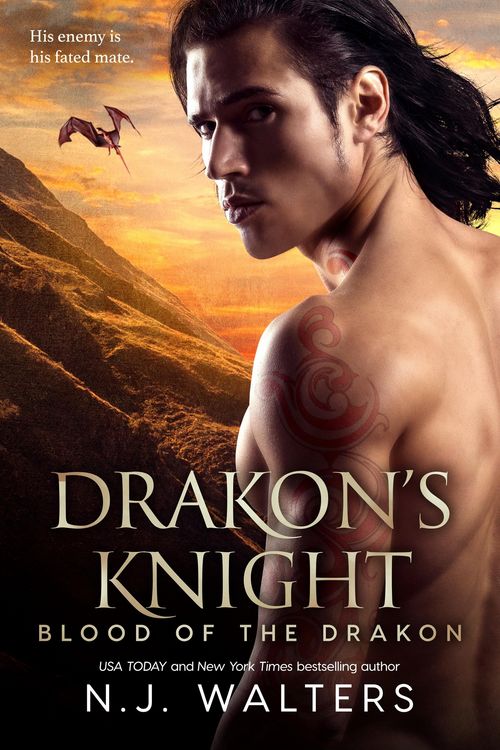 Produktbild: Drakon's Knight