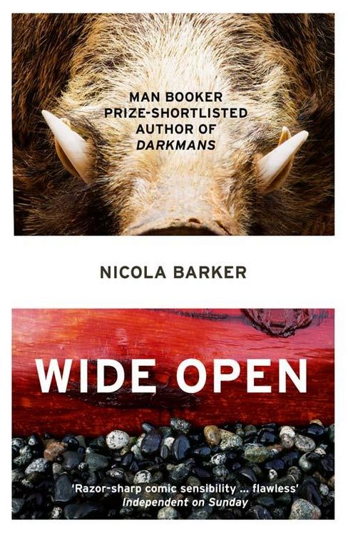 Produktbild: Wide Open