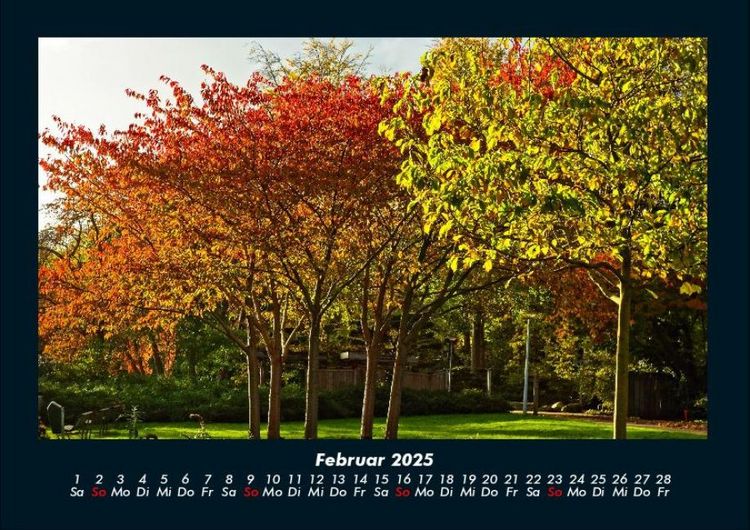 Produktbild: B&auml;ume 2025 Fotokalender DIN A4