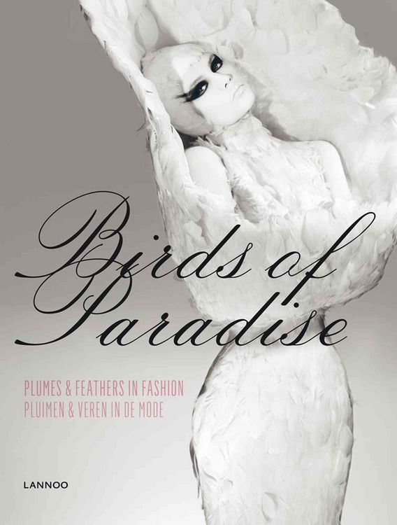 Produktbild: Swan, J: Birds of Paradise