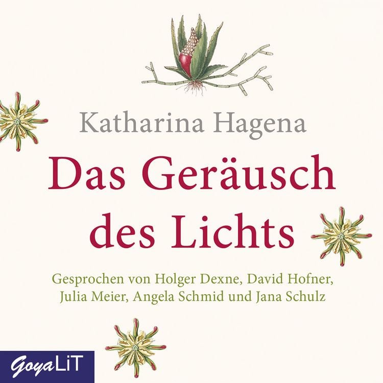 Produktbild: Das Ger&auml;usch des Lichts