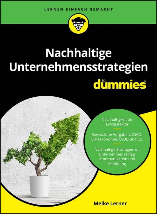 Produktbild: Nachhaltige Unternehmensstrategien für Dummies