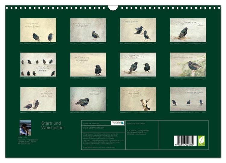 Produktbild: Stare und Weisheiten (Wandkalender 2026 DIN A3 quer), CALVENDO Monatskalender