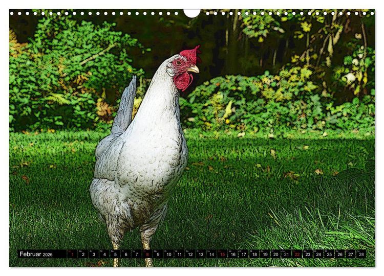 Produktbild: Die H&uuml;hner sind los! (Wandkalender 2026 DIN A3 quer), CALVENDO Monatskalender