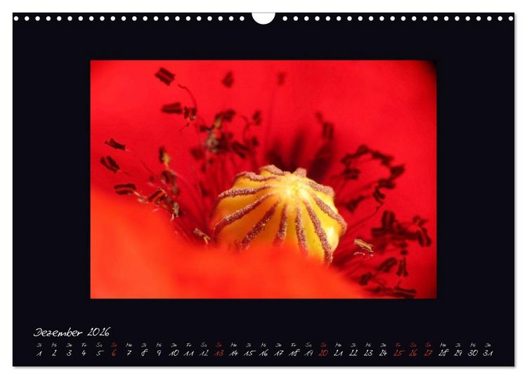Produktbild: MOHNographie (Wandkalender 2026 DIN A3 quer), CALVENDO Monatskalender