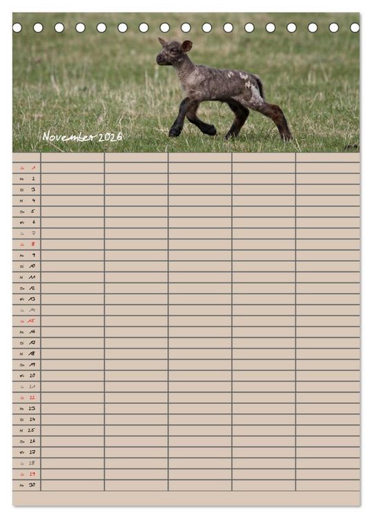 Produktbild: Der bel&auml;mmerte Familienplaner (Tischkalender 2026 DIN A5 hoch), CALVENDO Monatskalender