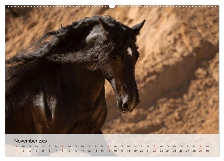 Produktbild: Pferde 2026 Kraft und Anmut (hochwertiger Premium Wandkalender 2026 DIN A2 quer), Kunstdruck in Hochglanz
