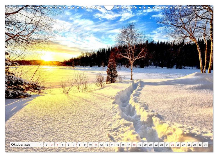 Produktbild: Eiszeit. Winter und Frost in der Natur (Wandkalender 2026 DIN A3 quer), CALVENDO Monatskalender
