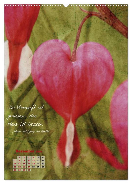 Produktbild: Blumen & Zitate (Wandkalender 2026 DIN A2 hoch), CALVENDO Monatskalender