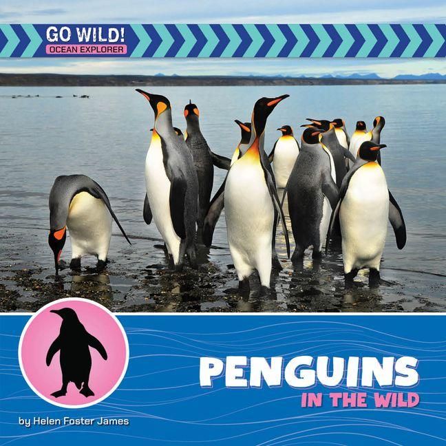 Produktbild: Penguins in the Wild