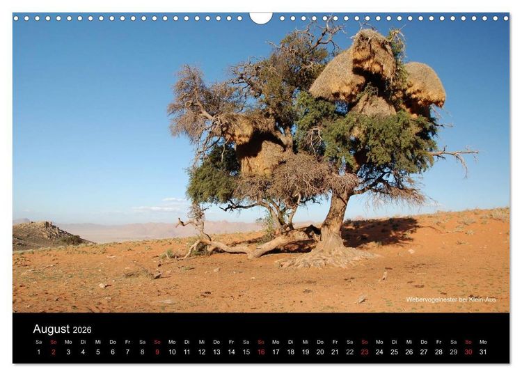 Produktbild: Namibia (Wandkalender 2026 DIN A3 quer), CALVENDO Monatskalender