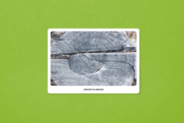 Produktbild: New York City Street Tree Tarot