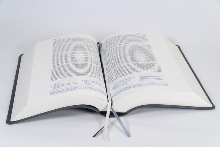 Produktbild: Elberfelder Bibel - mit Schreibrand, Leder