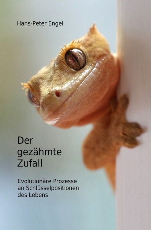 Produktbild: Der gez&auml;hmte Zufall