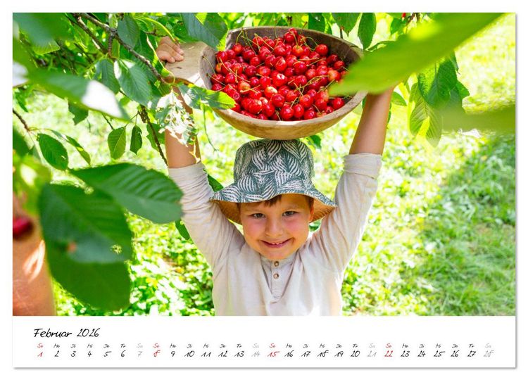 Produktbild: Kirschen aus dem Garten &ndash; Erntekalender (Wandkalender 2026 DIN A2 quer), CALVENDO Monatskalender