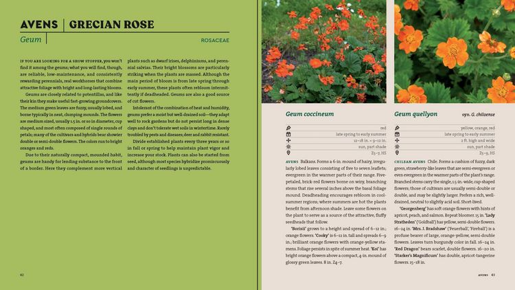 Produktbild: Perennials for the Northeast