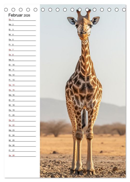 Produktbild: Ganz von vorn (Tischkalender 2026 DIN A5 hoch), CALVENDO Monatskalender