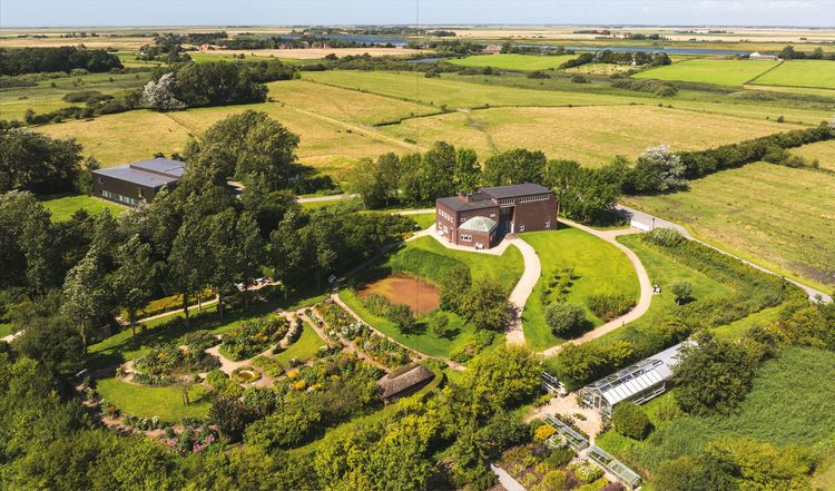Produktbild: Der Garten von Ada und Emil Nolde