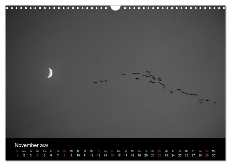 Produktbild: BLACK 'N WHITE (Wandkalender 2026 DIN A3 quer), CALVENDO Monatskalender