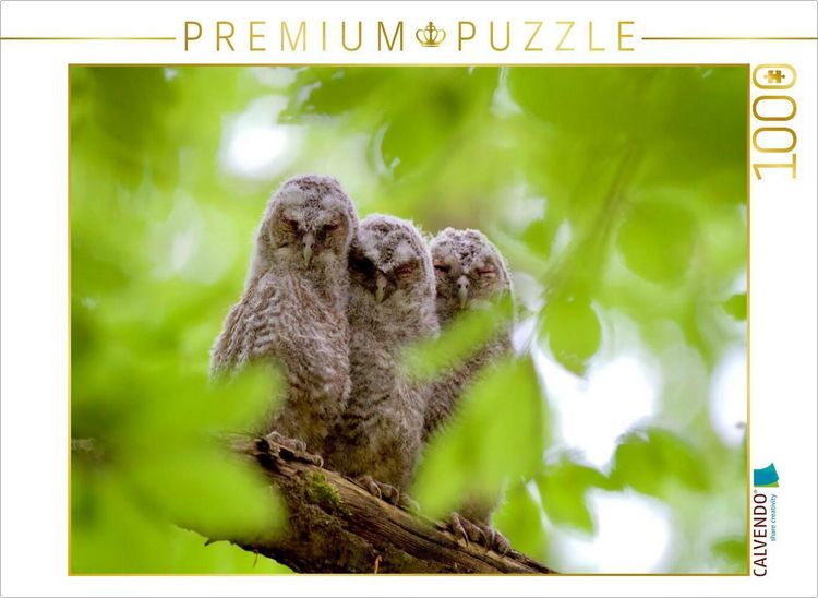Produktbild: CALVENDO Puzzle Geschwister | 1000 Teile Lege-Gr&ouml;&szlig;e 64x48cm Foto-Puzzle f&uuml;r gl&uuml;ckliche Stunden