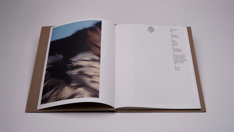 Produktbild: Jo&atilde;o Onofre &ndash; Untitled (in awe of)