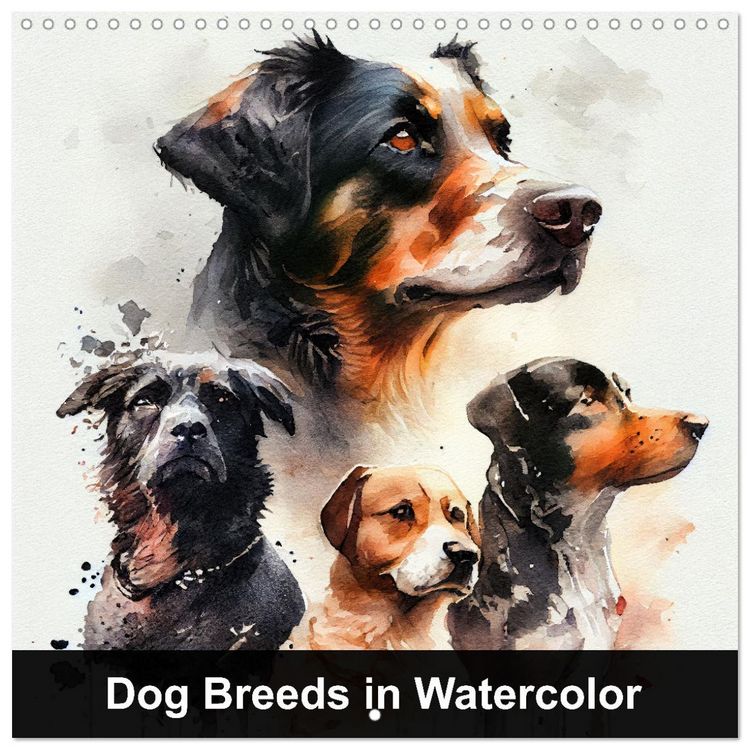 Produktbild: Dog Breeds in Watercolor (Wall Calendar 2026 12 &times; 12 Inch) CALVENDO 12 Month Wall Calendar