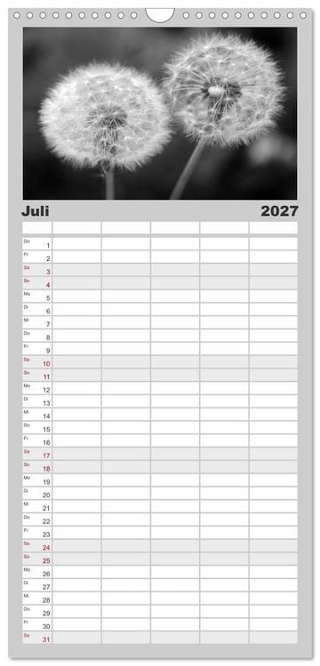 Produktbild: Familienplaner 2027 - Pusteblume - Impressionen in schwarzwei&szlig; mit 5 Spalten (Wandkalender, 21 x 45 cm) CALVENDO