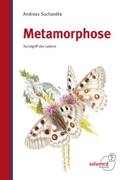 Produktbild: Metamorphose