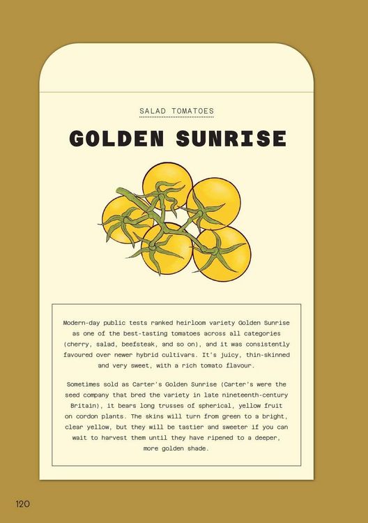 Produktbild: The Tomato Grower's Handbook