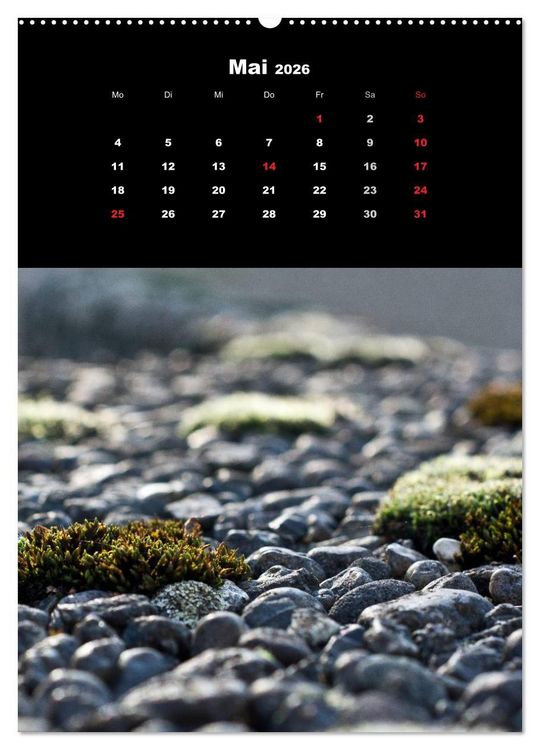 Produktbild: Die Welt der Moose. Ein Blick nach unten (Wandkalender 2026 DIN A2 hoch), CALVENDO Monatskalender