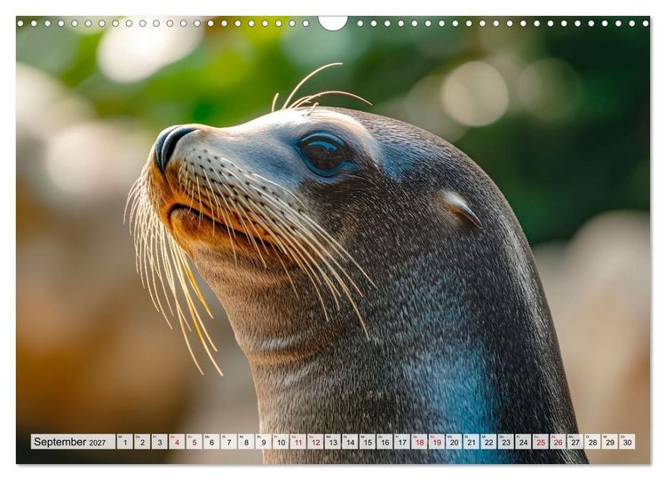 Produktbild: Faszination Robben - Zwischen Wellen und Weite (Wandkalender 2027 DIN A3 quer), CALVENDO Monatskalender