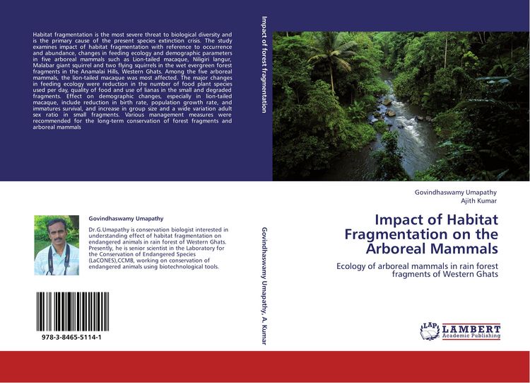 Produktbild: Impact of Habitat Fragmentation on the Arboreal Mammals