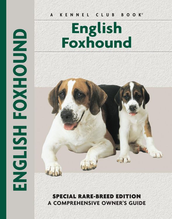 Produktbild: English Foxhound
