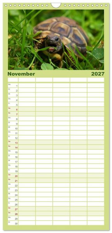 Produktbild: Familienplaner 2027 - Das Leben der Schildkr&ouml;ten mit 5 Spalten (Wandkalender, 21 x 45 cm) CALVENDO