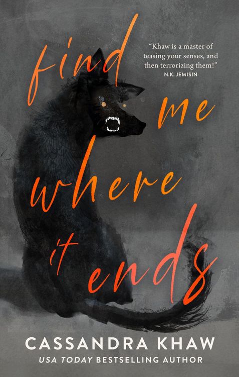 Produktbild: Find Me Where It Ends