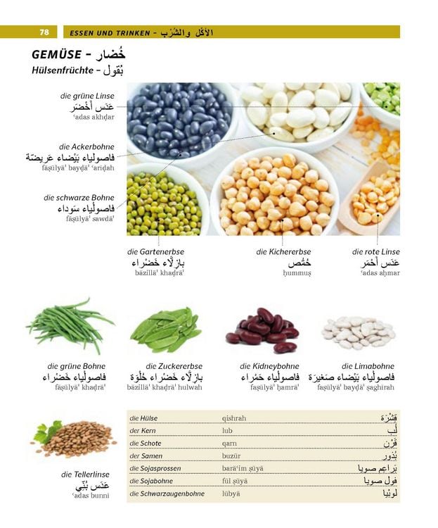 Produktbild: PONS Bildw&ouml;rterbuch Arabisch