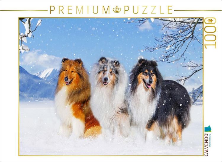 Produktbild: CALVENDO Puzzle Drei Collie-Prachtr&uuml;den | 1000 Teile Lege-Gr&ouml;&szlig;e 64x48cm Foto-Puzzle f&uuml;r gl&uuml;ckliche Stunden