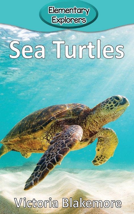 Produktbild: Sea Turtles