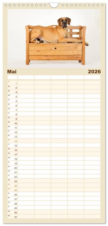 Produktbild: Familienplaner 2026 - Deutsche Doggen / Geburtstagskalender mit 5 Spalten (Wandkalender, 21 x 45 cm) CALVENDO
