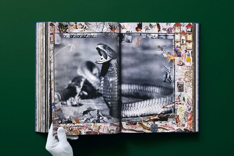 Produktbild: Peter Beard