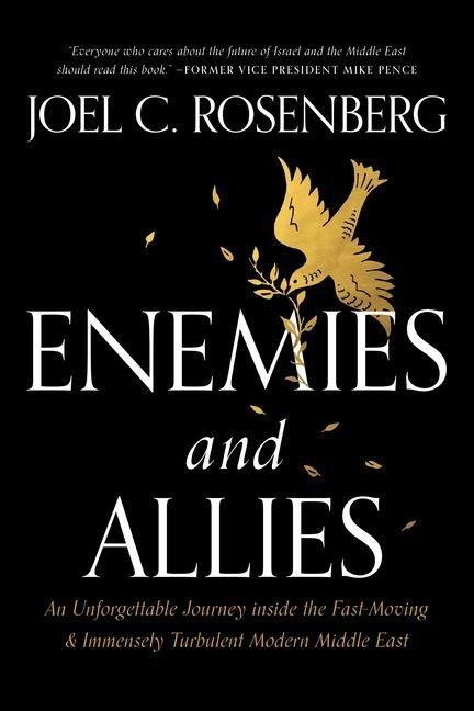 Produktbild: Enemies and Allies