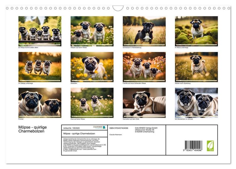 Produktbild: M&ouml;pse - quirlige Charmebolzen (Wandkalender 2026 DIN A3 quer), CALVENDO Monatskalender