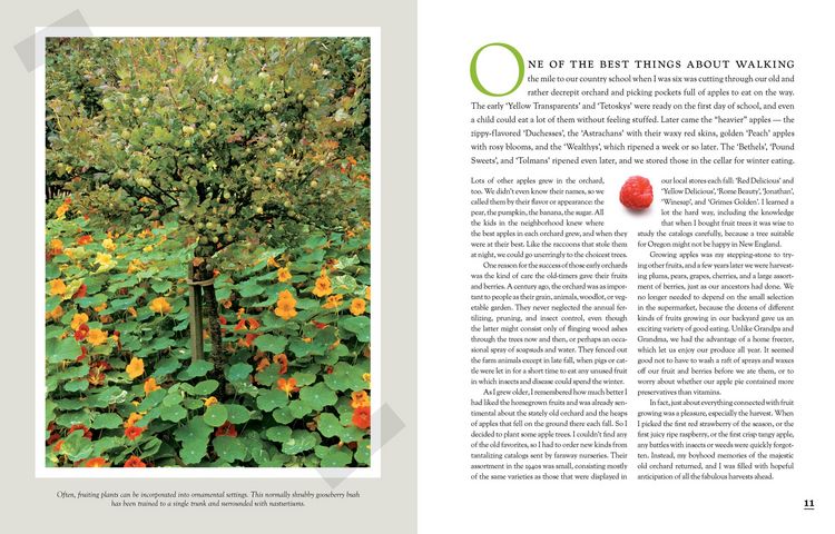Produktbild: The Fruit Gardener's Bible