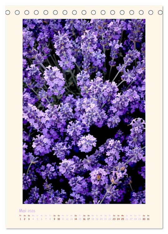 Produktbild: Lavendel (Tischkalender 2026 DIN A5 hoch), CALVENDO Monatskalender