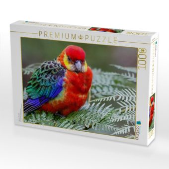 Produktbild: CALVENDO Puzzle Western Rosella | 1000 Teile Lege-Gr&ouml;&szlig;e 64x48cm Foto-Puzzle f&uuml;r gl&uuml;ckliche Stunden