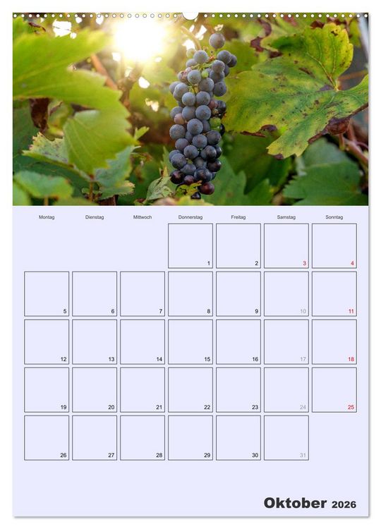 Produktbild: Obst Kalender - GESUND DURCH DAS JAHR (hochwertiger Premium Wandkalender 2026 DIN A2 hoch), Kunstdruck in Hochglanz