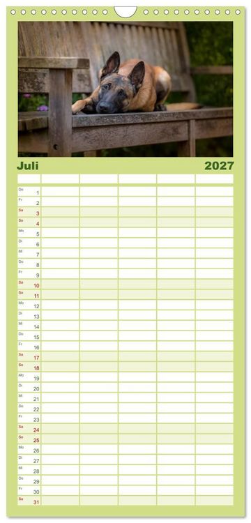 Produktbild: Familienplaner 2027 - Belgischer Sch&auml;ferhund - Der Malinois mit 5 Spalten (Wandkalender, 21 x 45 cm) CALVENDO