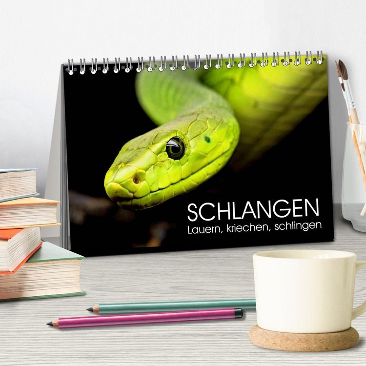 Produktbild: Schlangen. Lauern, kriechen, schlingen (Tischkalender 2026 DIN A5 quer), CALVENDO Monatskalender